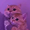 sweettywoen