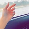 areejalshreef5