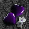 userrq8dp3j1sf