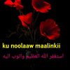 hassanabdallamoham