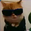 r_sfc