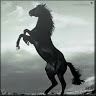 khaleed_007