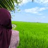 __ainn04