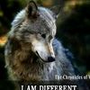 lone.wolf.inc