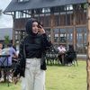 istri.idamanmu0