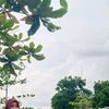 angelinaaa_yaaa
