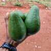 Ndivhuwo Sinyage