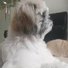 dah_716