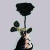 myfav27fav