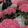 falotaibi93