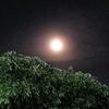 iriqdescence