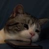 graciousleep