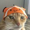 nyankobigg