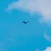 ananonima12