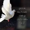 be._bo7
