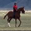 zhairan_