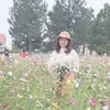 thumai6699