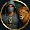 🦁Lion du Maroc🇲🇦