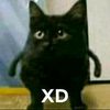 jeanpierec23