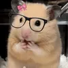 ellikds