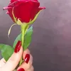 omwsam
