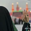 sajedmahmood87