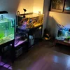 engd_aquarium