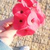 user4261272043153nada
