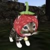 frenchtoastfaerie