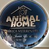 animalhome10