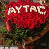 aytac_2894