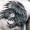 flyeaglesfly_xii