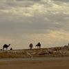 al_khuraisi0
