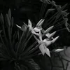 hiuhayvuiii
