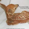 surreal.hue