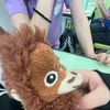 sowisusuehzu