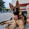 anna770077
