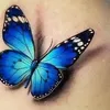 comnono_90