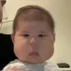 abalachups