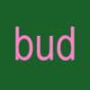 budaylicious