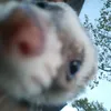 yaniira_gh