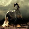 sar_369