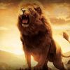brave___khattak
