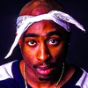 2_pac.p