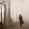 sofyashaban