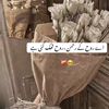 salma_amir_17