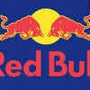 rod_bull_schweiz