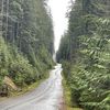 turc_des_montagnes
