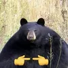 soulofhuesos1