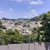marceloharuki